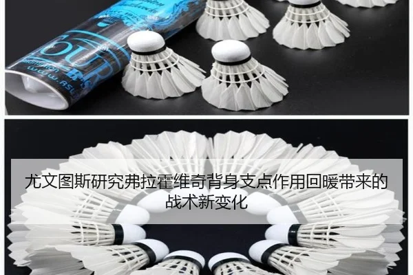 尤文图斯研究弗拉霍维奇背身支点作用回暖带来的战术新变化