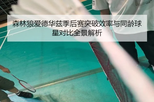 森林狼爱德华兹季后赛突破效率与同龄球星对比全景解析